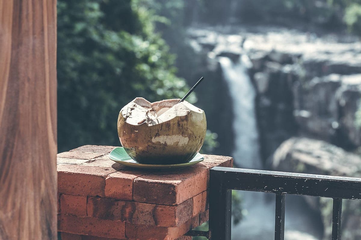 Água de Coco Hidrata Mais que Água? O Que Mostra a Ciência