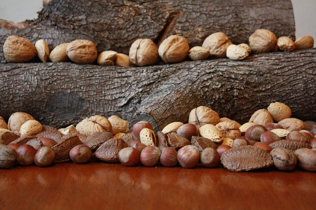 Alimentos Que Baixam o Colesterol: O Que Realmente Funciona