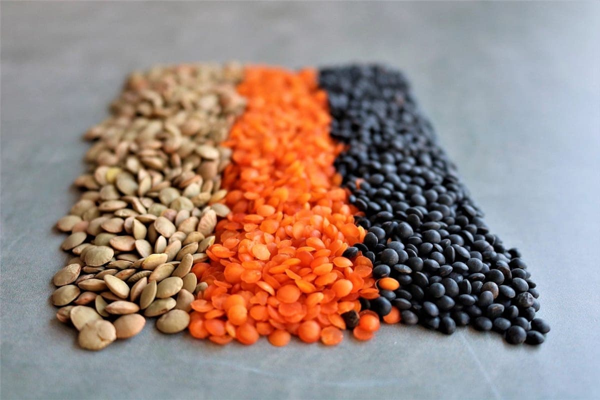 Proteína Vegetal ou Animal: Qual É Melhor Para o Músculo?
