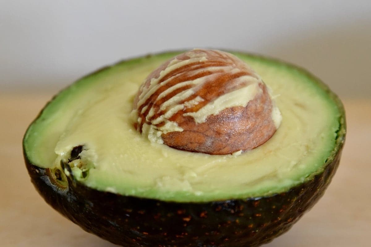 Abacate: a Gordura Boa Que Vale a Pena Incluir na Dieta