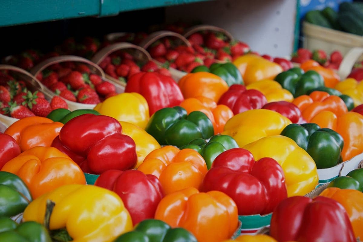 Alimentos Que Ajudam a Controlar o Apetite Naturalmente