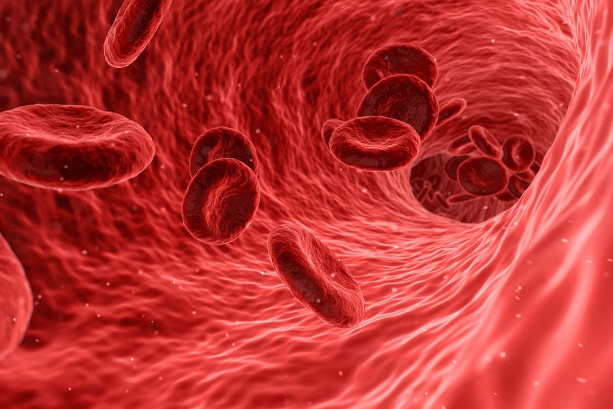 Anemia: Sintomas, Causas e o Que Fazer de Verdade