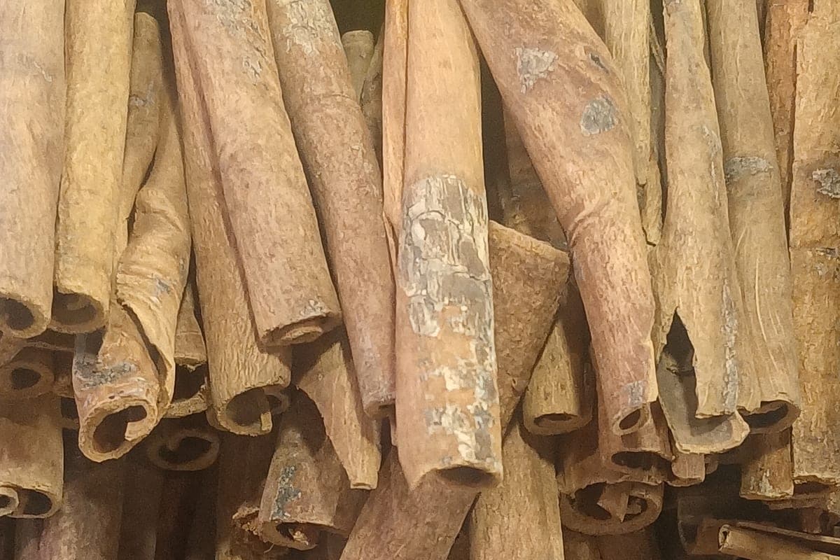Canela Baixa o Açúcar no Sangue? O Que a Ciência Mostra