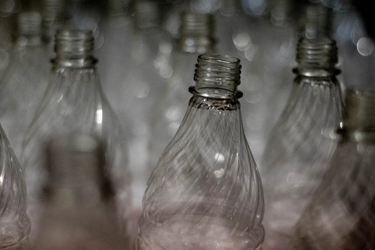 Disruptores Endócrinos: Como Cosméticos e Plástico Mexem com Seus Hormônios