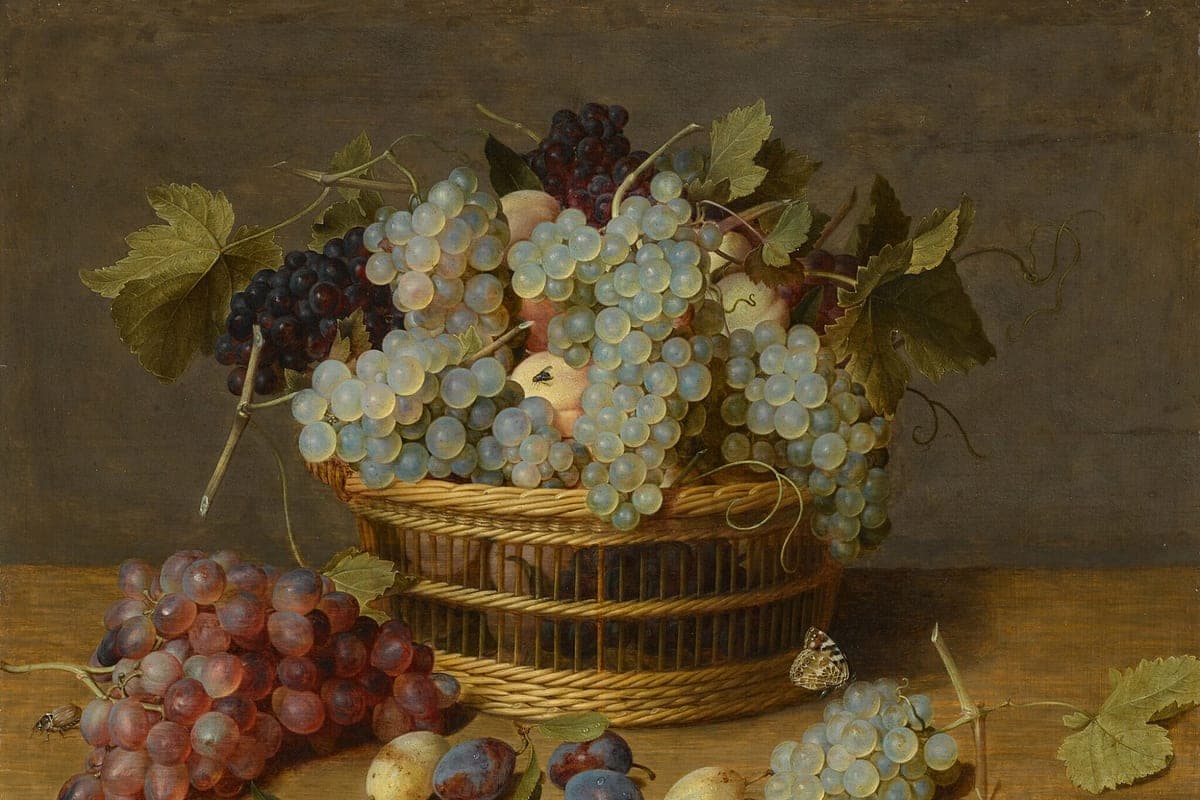 Fruta Engorda? O Que a Ciência Diz Sobre o Açúcar da Fruta