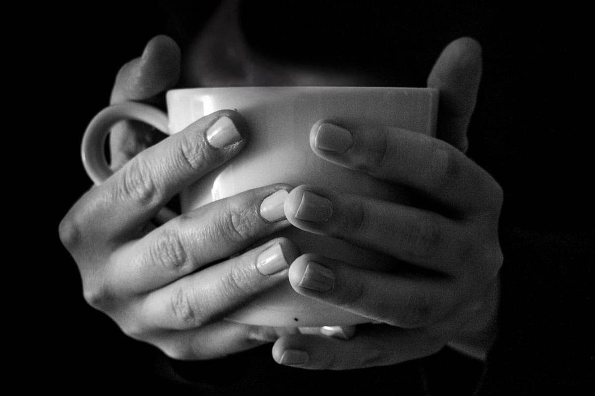 L-Teanina: Para Que Serve e Ajuda de Verdade no Sono e na Ansiedade?