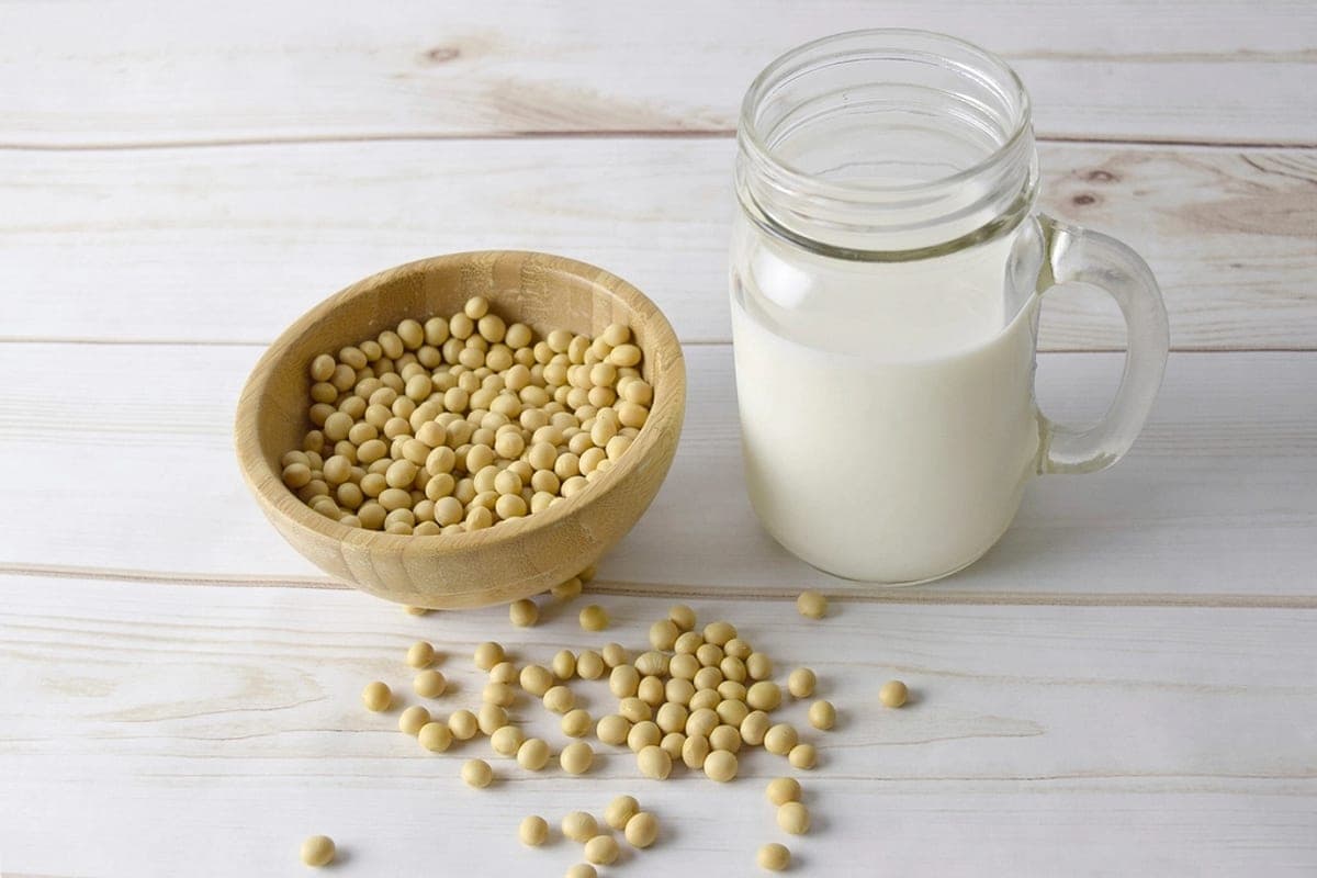 Leite Vegetal x Leite de Vaca: Qual É Mais Nutritivo?