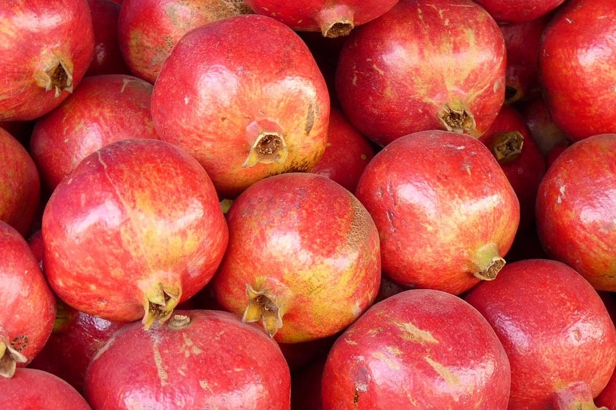 Benefícios da Romã: o Que a Ciência Diz Sobre Esse Antioxidante Milenar