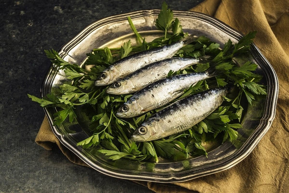 Benefícios da Sardinha: o Peixe Barato Que Rivaliza com o Salmão
