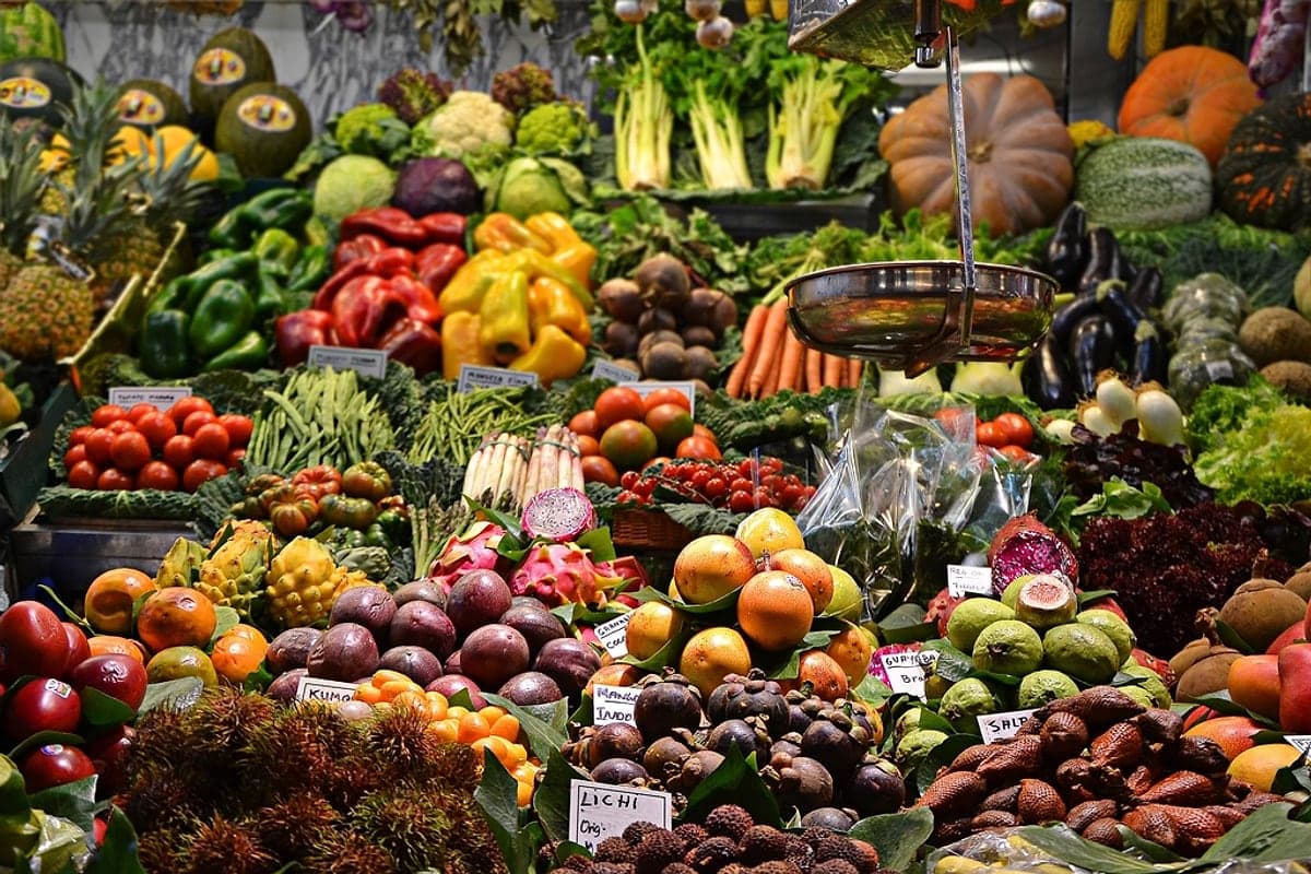 Variedade de Cores em Frutas e Vegetais: Por Que Importa Mais Que Buscar Uma 'Superfruta'